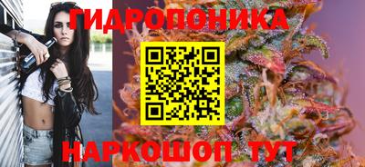 соль ск Можга