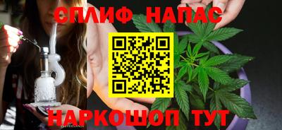 соль ск Можга