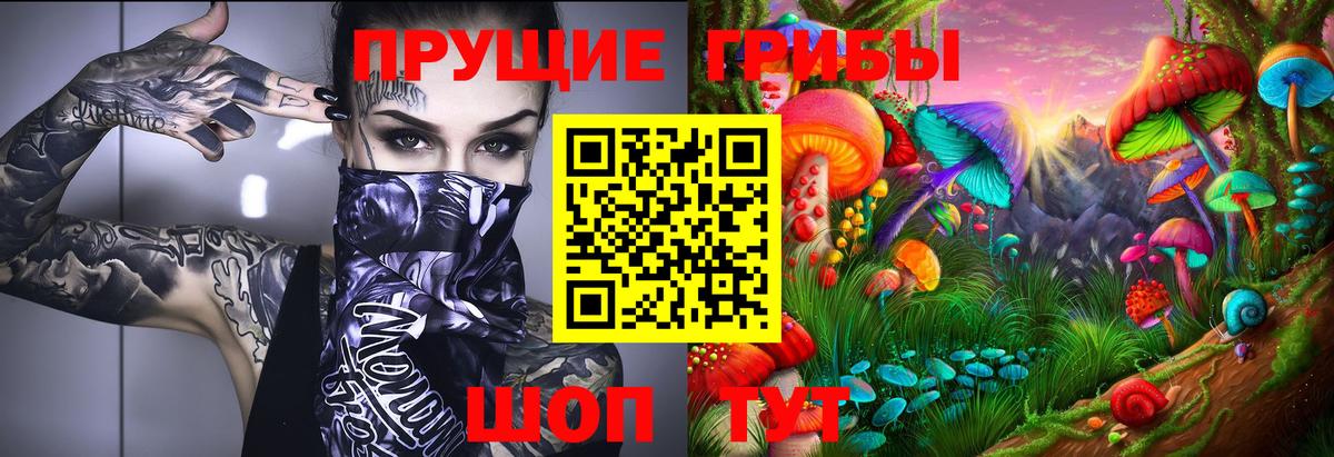 Губкинский  Псилоцибиновые грибы Magic Shrooms  Вход с VPN 