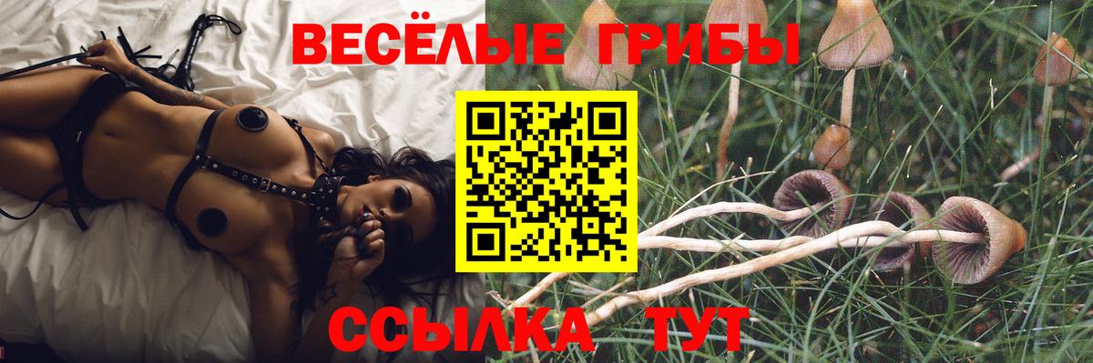 Галлюциногенные грибы прущие грибы Губкинский
